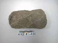 藏品(中型淺腰打製石斧)的圖片